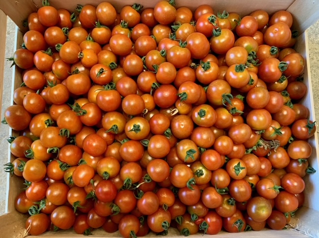 Tomates cerises, barquette de 250gr