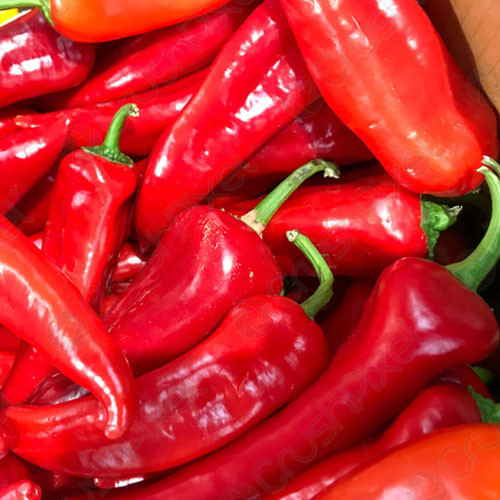 Piments frais au 100 gr
