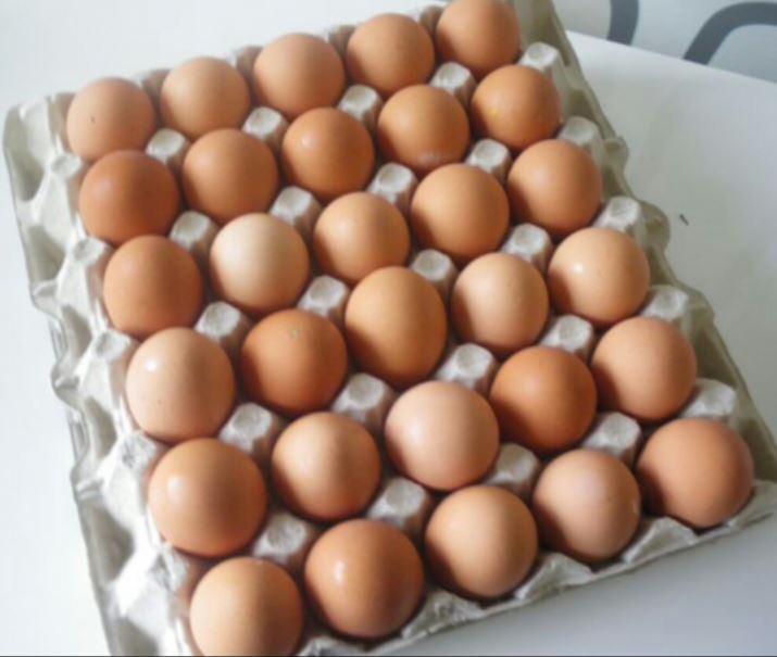 Plaque de 30 œufs