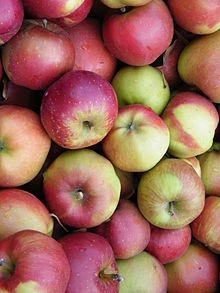 Pommes Melrose au kg