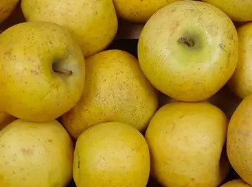 Pommes Goldrush au kg